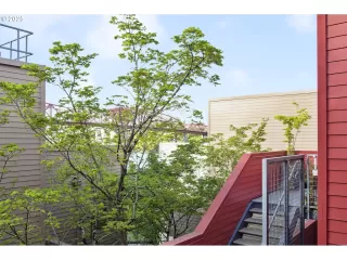 Photo #5: 303856134 Listing