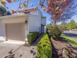 Photo #3: 309274703 Listing