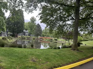 Photo #1: 309301706 Listing 