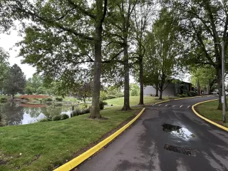 Photo #2: 309301706 Listing 
