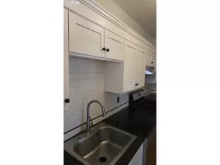 Primary Photo for MLS#: 309501987