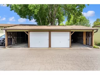 Photo #1: 310168171 Listing 