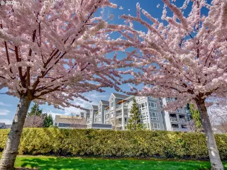 Photo #2: 335727132 Listing