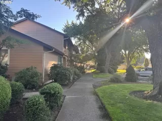 Photo #1: 343445527 Listing 