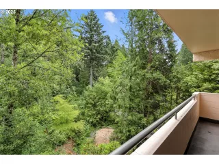 Photo #5: 356640529 Listing 