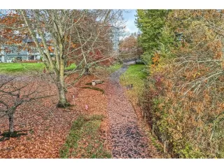 Photo #5: 371122629 Listing