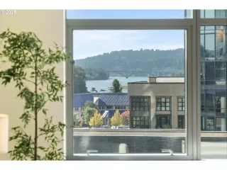 Photo #5: 376552596 Listing 