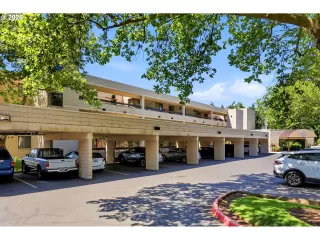 Photo #4: 378516370 Listing