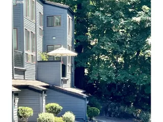 Photo #1: 383354190 Listing 