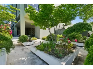 Photo #5: 384129004 Listing
