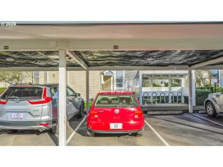 Photo #4: 392602361 Listing 