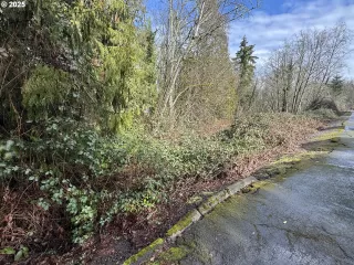 Photo #2: 415023188 Listing 