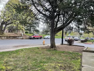 Photo #6: 416437986 Listing 