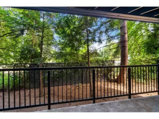 Photo #6: 431511972 Listing