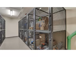 Photo #3: 434922047 Listing