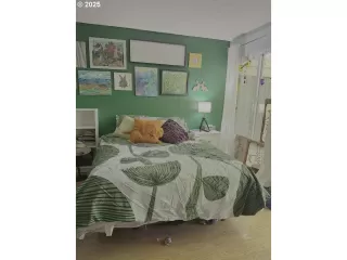 Primary Photo for MLS#: 437808811