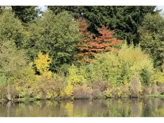 Photo #5: 437808811 Listing 