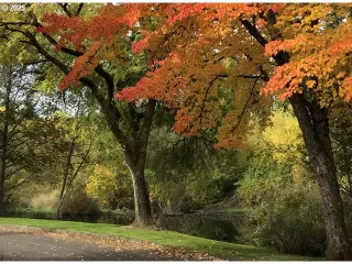 Photo #6: 437808811 Listing 