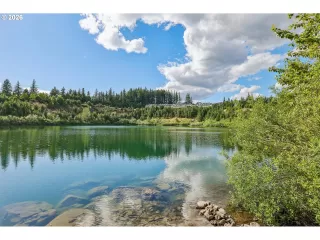 Photo #1: 444009780 Listing