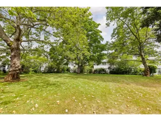 Photo #6: 460530309 Listing