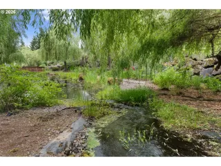 Photo #3: 481556696 Listing