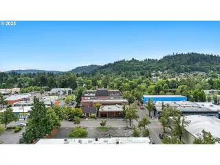 Photo #4: 490768335 Listing