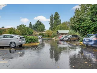 Photo #1: 491229079 Listing 