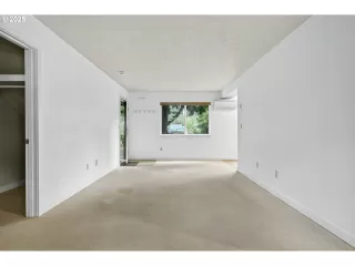 Photo #4: 491229079 Listing 