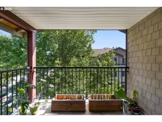 Photo #3: 493240059 Listing 