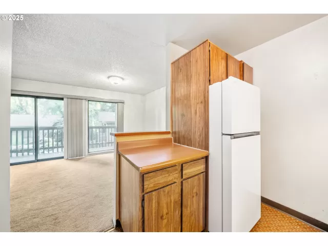 MLS: 495442303 Condo For Sale