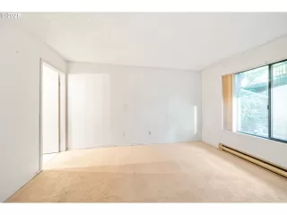 Photo #4: 495442303 Listing