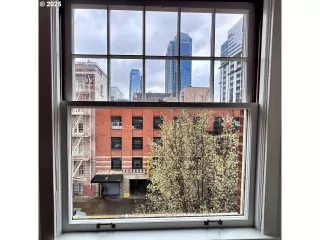 Photo #1: 497664765 Listing