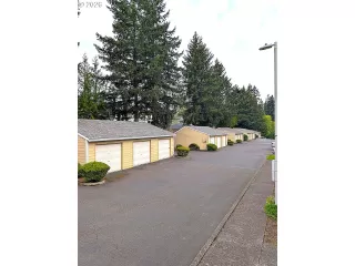 Photo #6: 501230597 Listing 