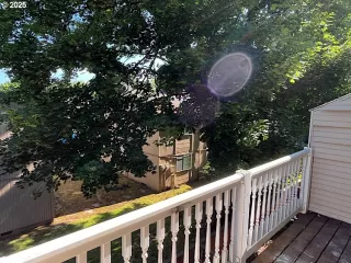 Photo #6: 502701414 Listing