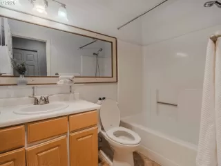 Photo #1: 503072868 Listing 