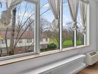 Photo #4: 503820284 Listing 