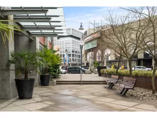 Photo #1: 505287807 Listing