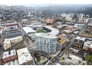 Photo #3: 505287807 Listing