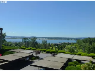 Photo #4: 505378693 Listing 