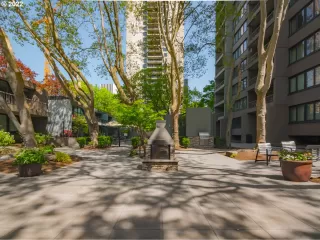 Photo #5: 508249998 Listing