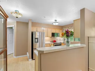 Primary Photo for MLS#: 509188633