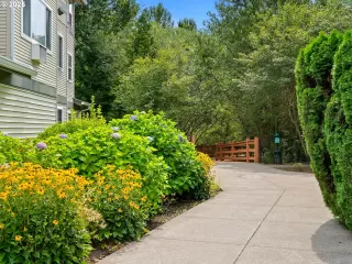 Photo #5: 509188633 Listing 