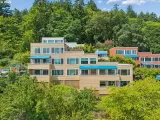 Primary Photo for MLS#: 515247450