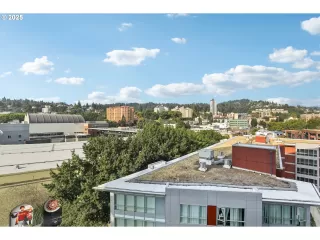 Photo #5: 515359088 Listing