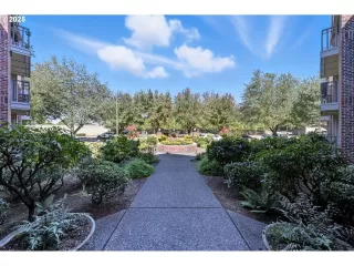 Photo #1: 516180990 Listing 