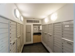 Photo #6: 516204119 Listing