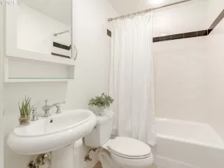 Photo #6: 518846702 Listing