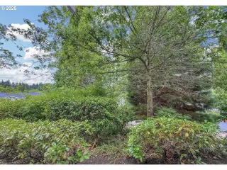 Photo #6: 518854763 Listing 