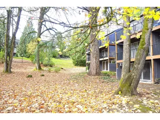 Photo #2: 520493211 Listing