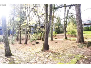 Photo #3: 520493211 Listing